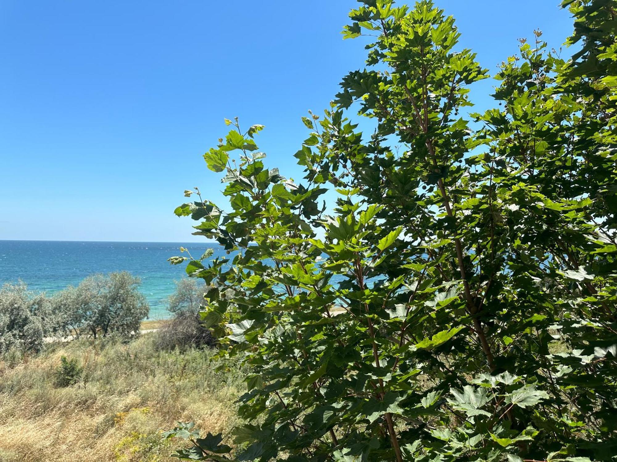 Riviera Fort Beach Apartments By Kalina Resort, Rawda Zewnętrze zdjęcie
